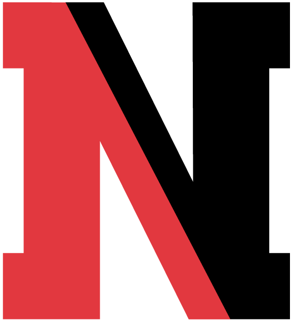Northeastern Huskies 2004-2006 Alternate Logo diy fabric transfer